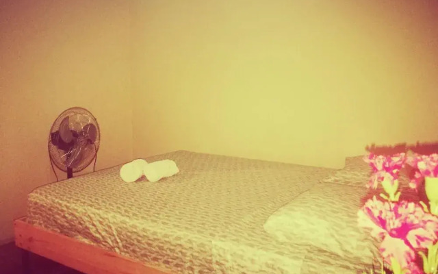 Guesthouse Morpho CR