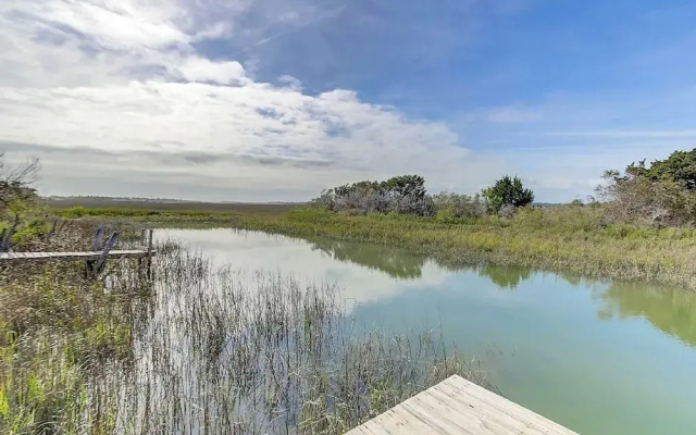 Salt Marsh