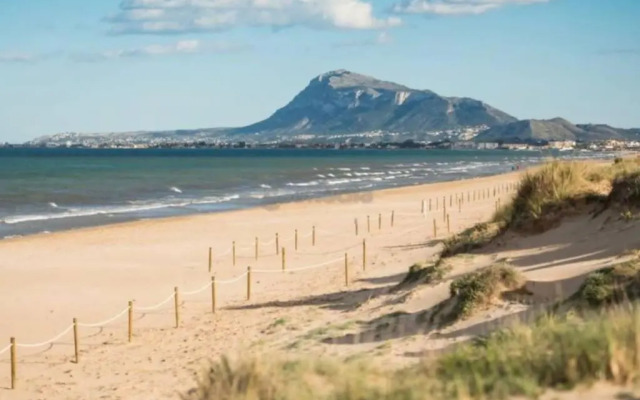 AP989 Cabagua Oliva Nova