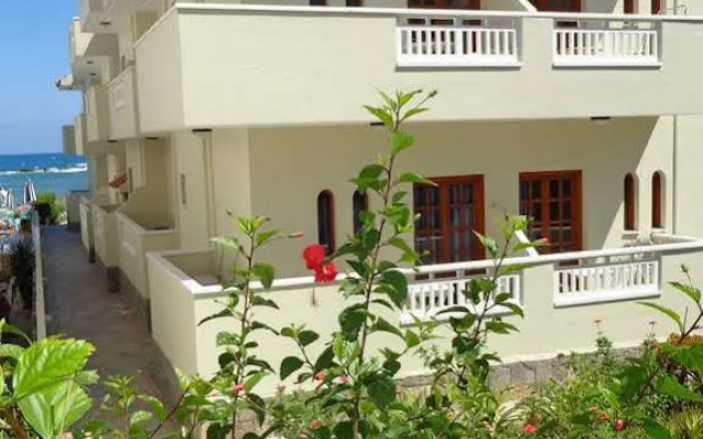 Seagull Studios