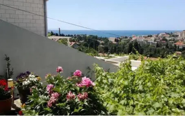 Guesthouse Petrusic