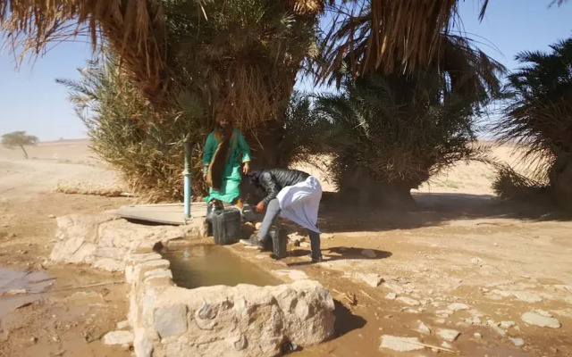 Auberge la Palmeraie