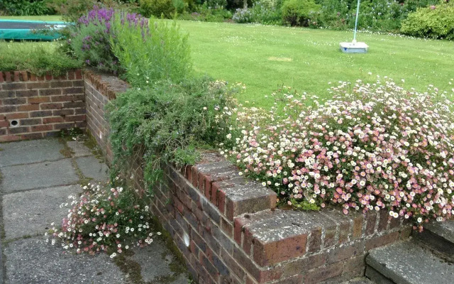 Courtlands Nurseries B&B
