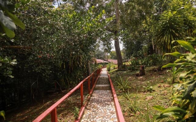 Amazonia Jungle Hotel