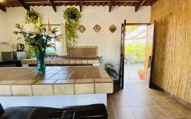 CABO BOHEMIA Tropical Garden Studios