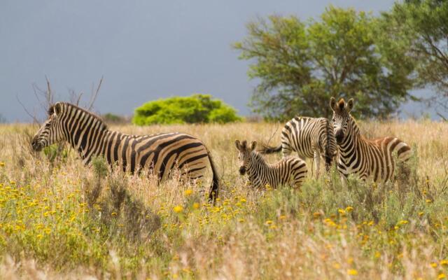 Stonehill River Lodge