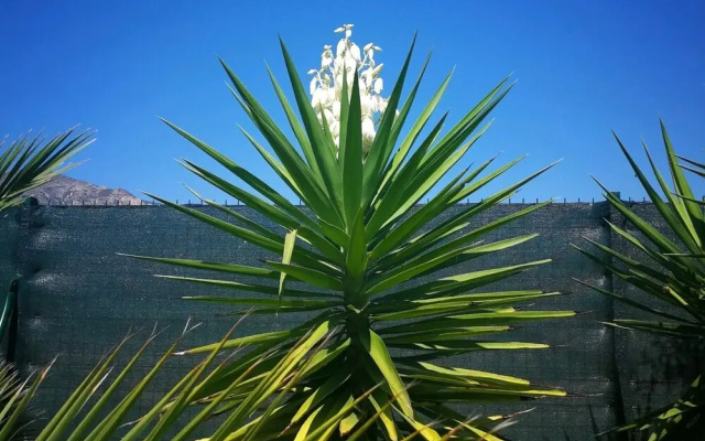 Lovely Holiday Home in Aigues With Private Swimming Pool