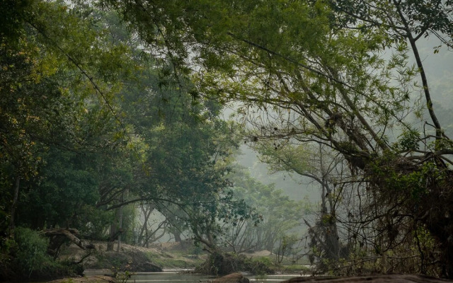 The Quiet by the river