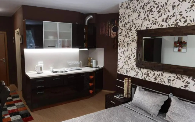 Studio Iceberg Borovets Студио с кухня