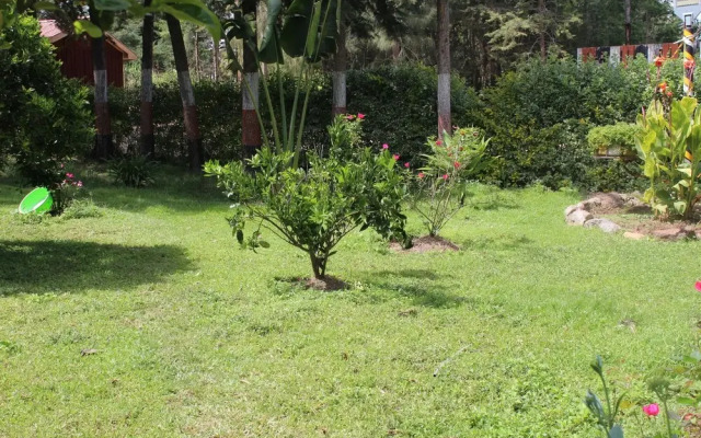 Tranquil homestays