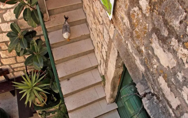 Apartments Mima Hvar