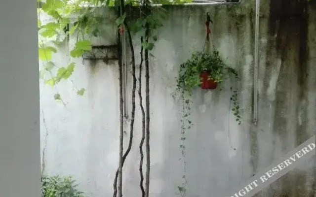 西塘清雅客栈