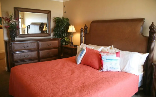 Panoramic Perfection