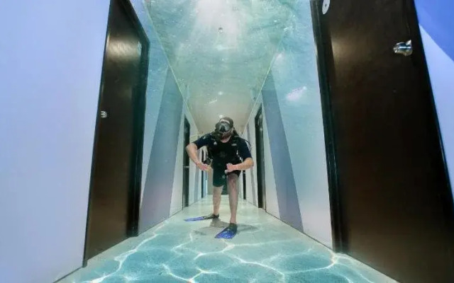 2tank Dive Hostel Cozumel