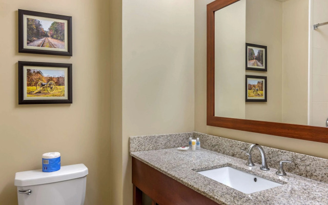 Comfort Inn Petersburg Fort Lee Area