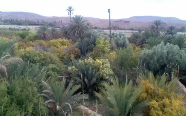 Kasbah Oasis Afra