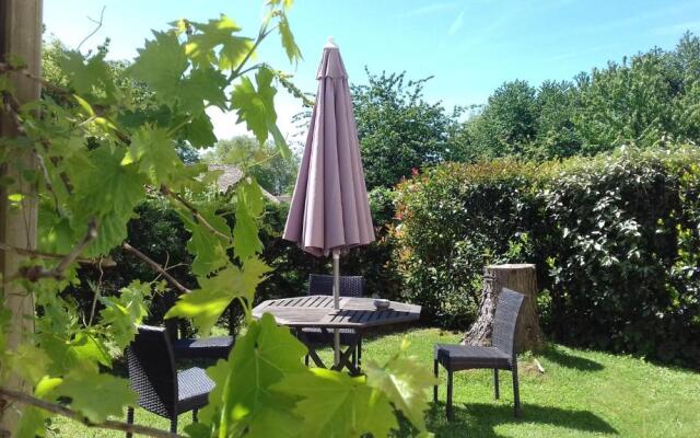 Les Roses Trémières