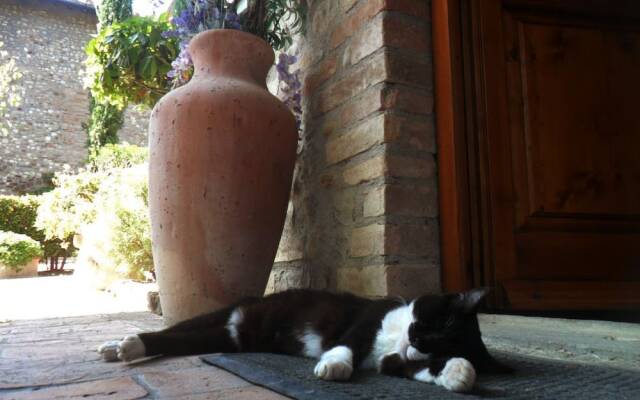 Casa Vacanze Podere Mezzastrada