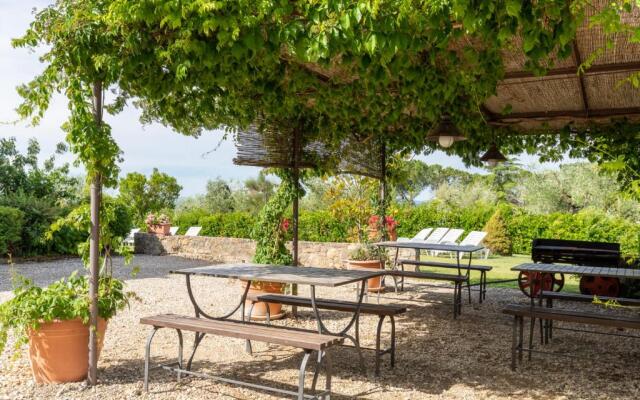 Agriturismo Podere Sertofano