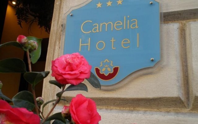 Hotel Camelia