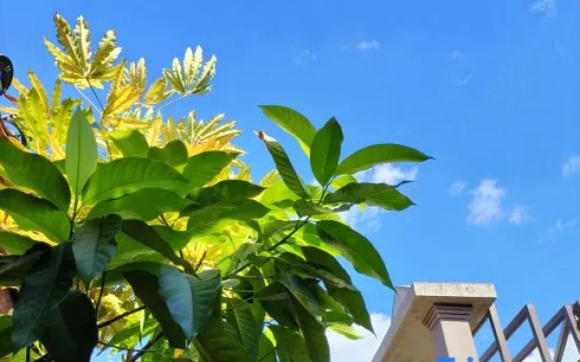 Dongguan Jiuni Zuihao Homestay