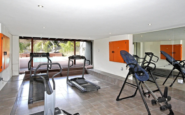 Dynasty Forest Sandown Accommodation