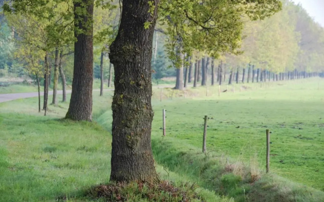Het Uitzicht