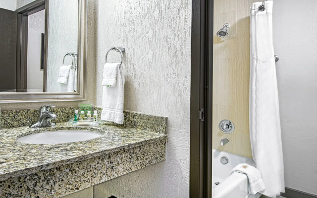 Holiday Inn Houston South West Highway 59