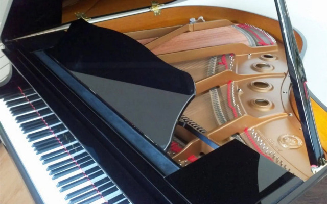 Hôtel Le Chapon Fin