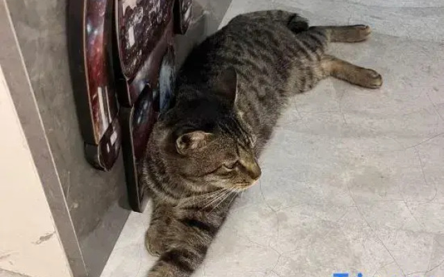 Lochte Hotel Apartment (Shishan Changhua International Branch)