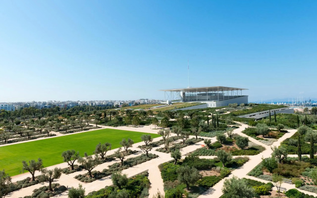 Blue Ark Athenian Nest