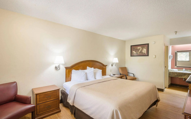 Red Roof Inn Tampa Busch