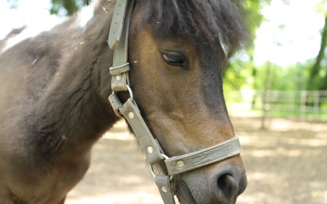 Yüzüncü Yıl Ecopark