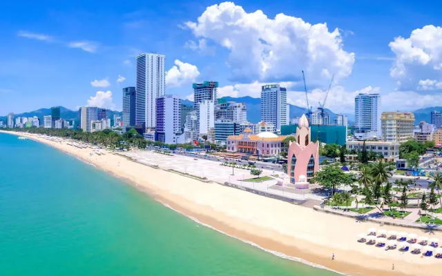 Daisy Flower Nha Trang