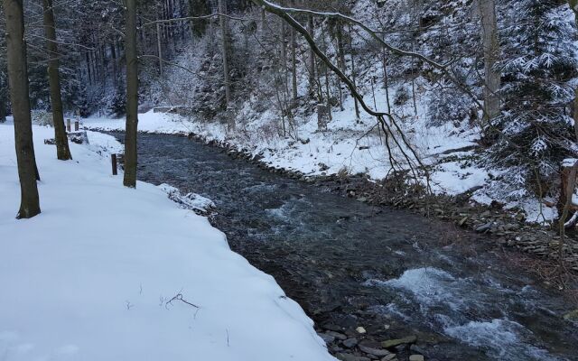 Apartment in the Upper Harz in Wildemann