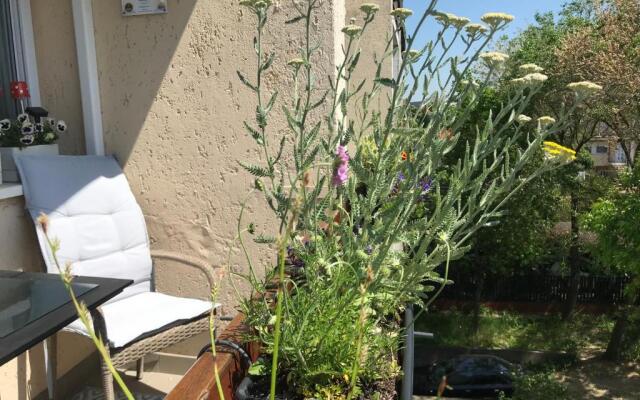 Nagyerdei Rózsahegy 1 Apartman Greatforest Rosehill 1 Apartment