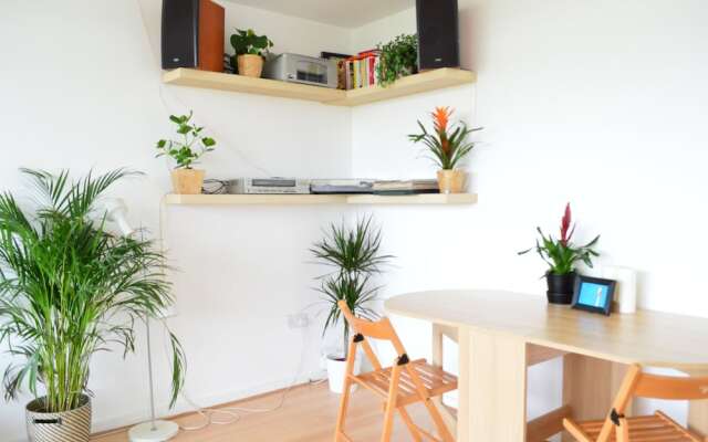 Spacious 1 Bedroom Apartment in Homerton