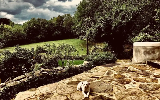 Pippo'S Little Resort/2