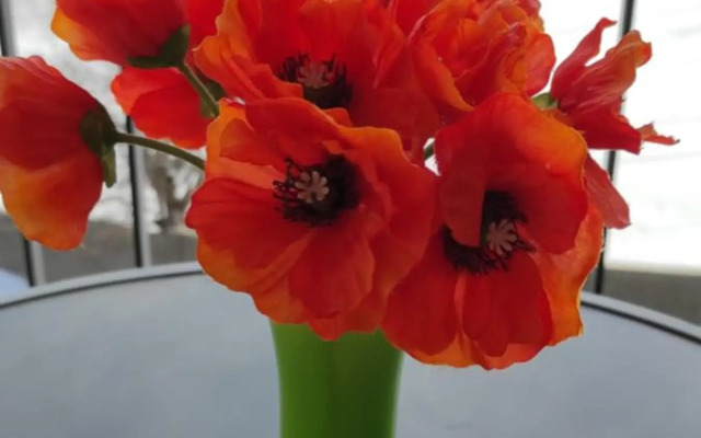 Sunny apartment in Kechi House, Tsaghkadzor