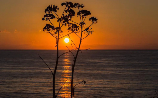 Fattoria il Borghetto