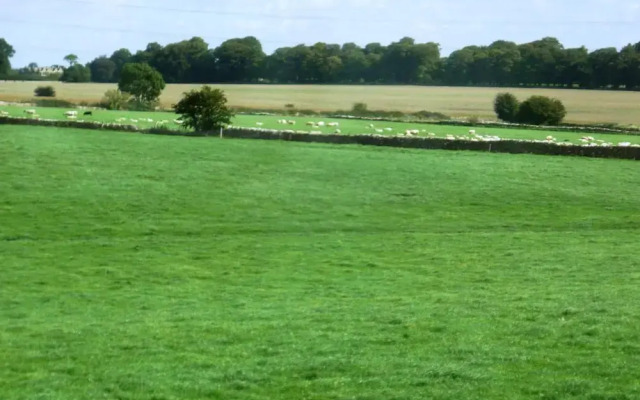 Windylands Bed and Breakfast