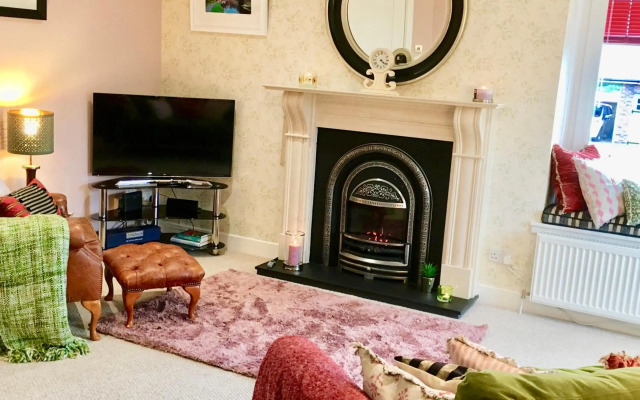 The Little Beech Tree