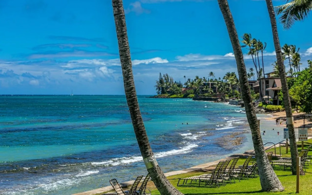 Paki Maui 103