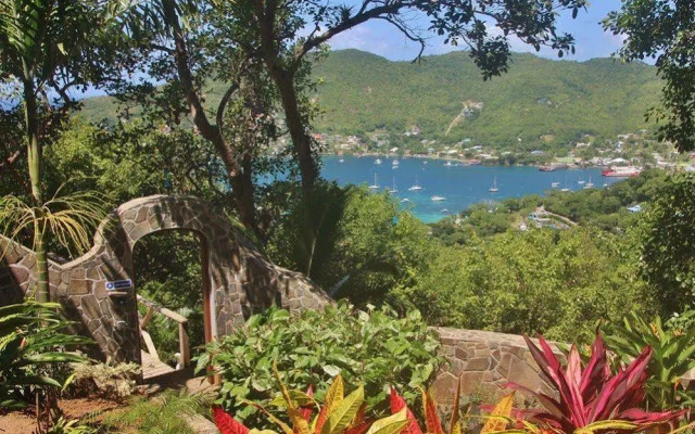 Tropical Hideaway