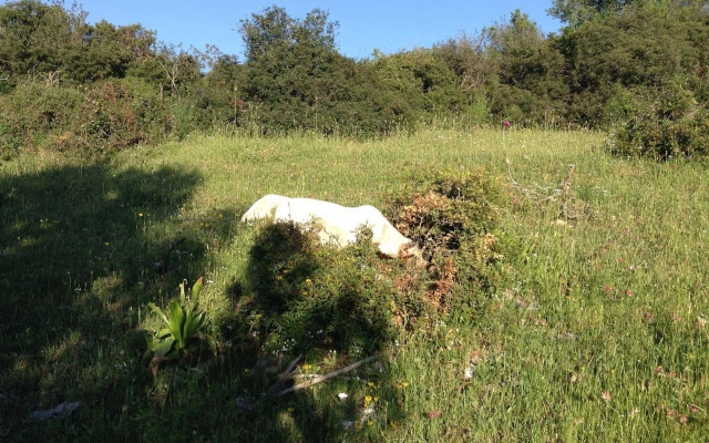 Albergo Residence Villa a Mare