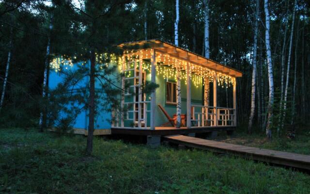 Forest Dream