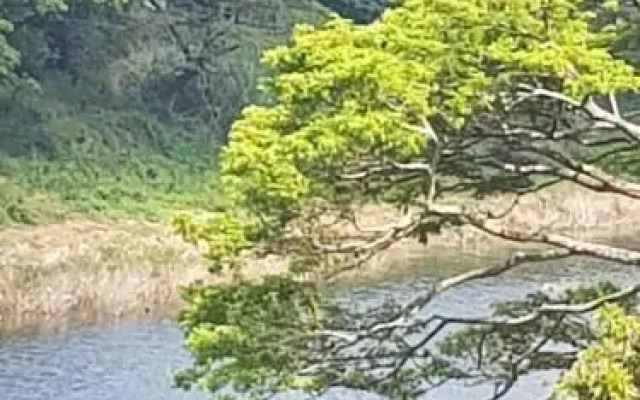 WEST 41 Kandy