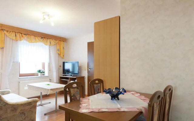 Beautiful Apartment in Pohla Saxony near Ski Area