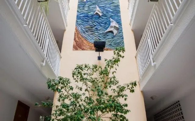 Apartamentos Avenida