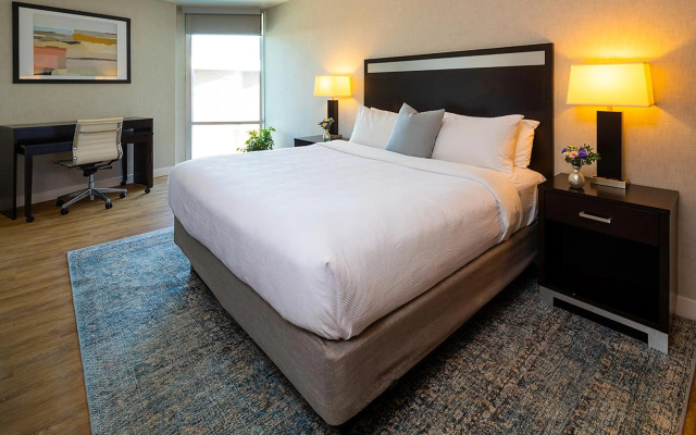 Delamar Traverse City